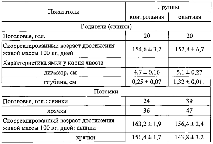 Способ отбора племенных свиней мясных пород (патент 2579999)
