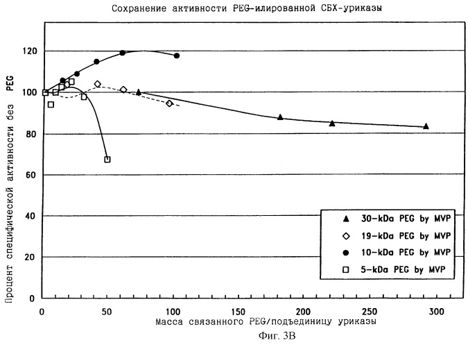 Конъюгаты peg-уриказы и их использование (патент 2246318)