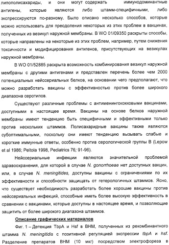 Нейссериальные вакцинные композиции, содержащие комбинацию антигенов (патент 2317106)