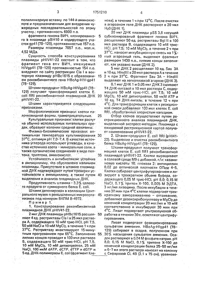 Рекомбинантная плазмидная днк phiv 41-22, кодирующая кор- антиген вируса гепатита в с экспонированным на его поверхности фрагментом белка @ 41 вируса иммунодефицита человека, способ ее конструирования и штамм бактерий еsснеriснiа coli - продуцент кор-антигена вируса гепатита в с экспонированным на его поверхности фрагментом белка @ 41 вируса иммунодефицита человека (патент 1751210)