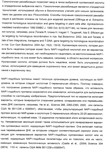 Способ повышения выхода семян растения, способ производства трансгенного растения, имеющего повышенную урожайность семян, генная конструкция для экспрессии в растении и трансгенное растение (патент 2409938)