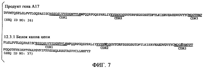 Применение антител к ctla-4 (патент 2346702)