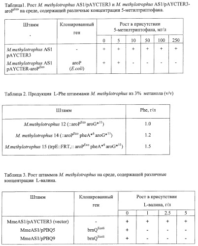 Способ придания бактерии, принадлежащей к роду methylophilus, ауксотрофности по l-аминокислоте, бактерия, принадлежащая к роду methylophilus, и способ продукции l-аминокислоты (патент 2395569)