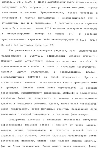 Scfv против egfrviii с улучшенной цитотоксичностью и выходом, иммунотоксины на их основе и способы их применения (патент 2317999)