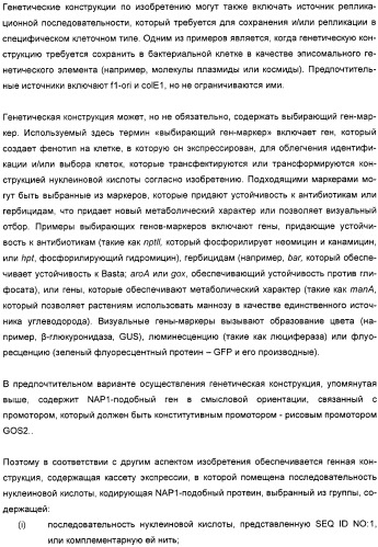 Способ повышения выхода семян растения, способ производства трансгенного растения, имеющего повышенную урожайность семян, генная конструкция для экспрессии в растении и трансгенное растение (патент 2409938)