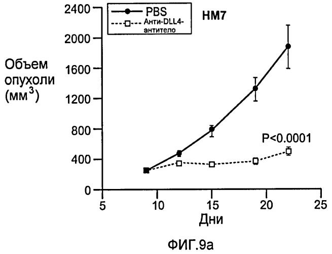 Антитела против dll4 и способы их применения (патент 2415869)
