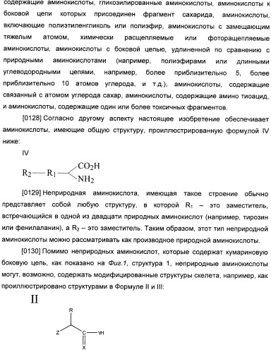 Генетически кодируемые флюоресцентные кумариновые аминокислоты (патент 2473690)