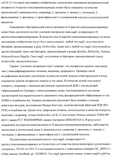 Способ получения l-аминокислот с использованием бактерии, принадлежащей к роду escherichia (патент 2312893)