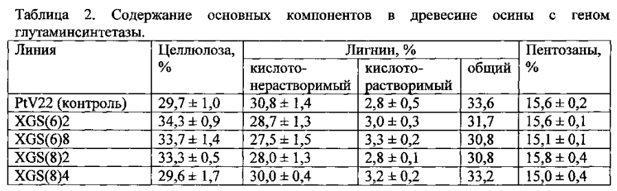 Трансгенное растение осины с повышенной продуктивностью и модифицированной древесиной (патент 2593722)