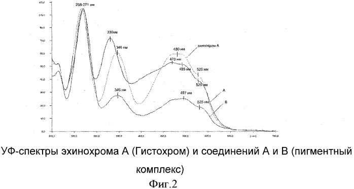 Способ переработки панциря морских ежей (патент 2441661)