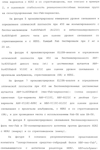 Антитела, сконструированные на основе цистеинов, и их конъюгаты (патент 2412947)