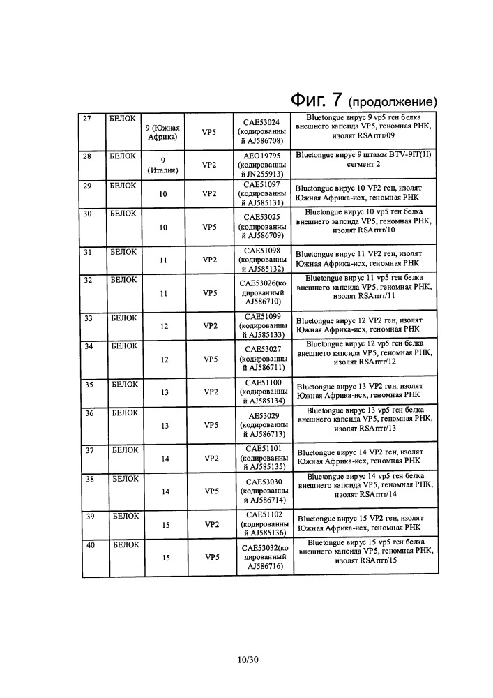 Реассортантные btv и ahsv вакцины (патент 2656187)
