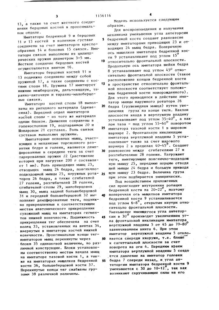 Модель нижней конечности (патент 1156116)