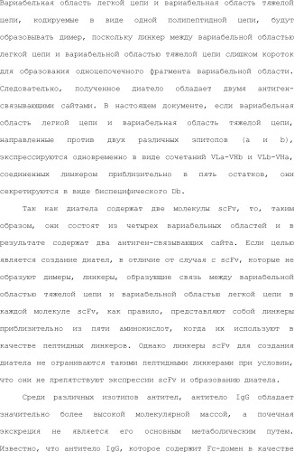 Способ модификации изоэлектрической точки антитела с помощью аминокислотных замен в cdr (патент 2510400)