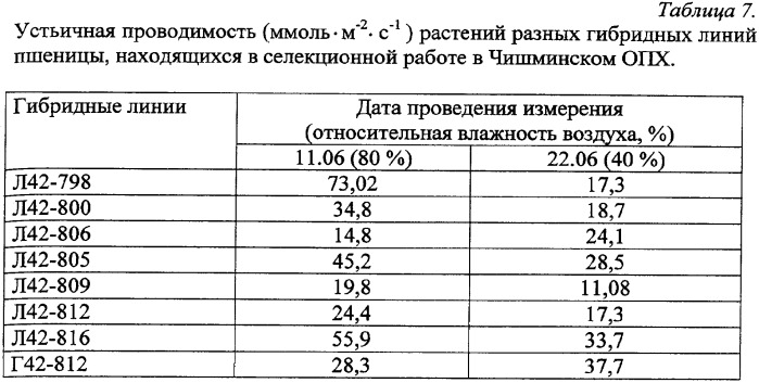 Способ диагностики засухоустойчивости и продуктивности злаковых сельскохозяйственных культур (патент 2339215)