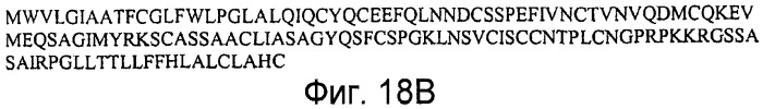 Способы выявления воспалительного заболевания кишечника (патент 2502806)