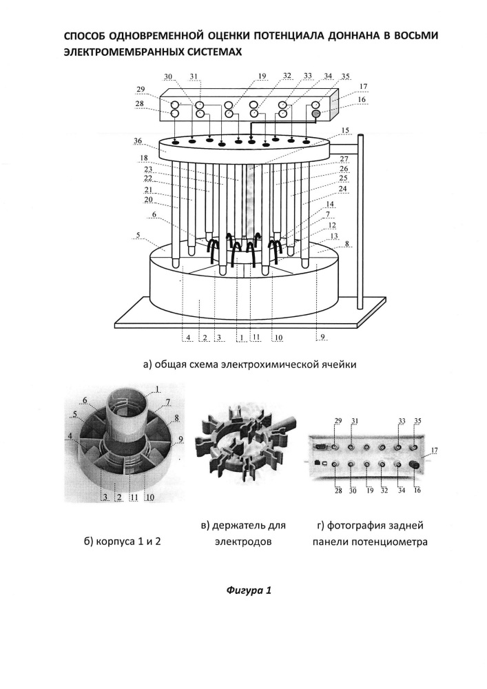 Способ одновременной оценки потенциала доннана в восьми электромембранных системах (патент 2617347)