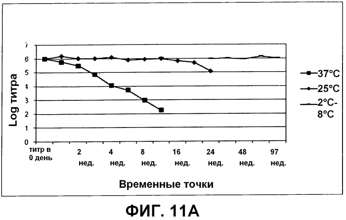 Композиция, применимая в качестве ротавирусной вакцины, и способ ее получения (патент 2553331)