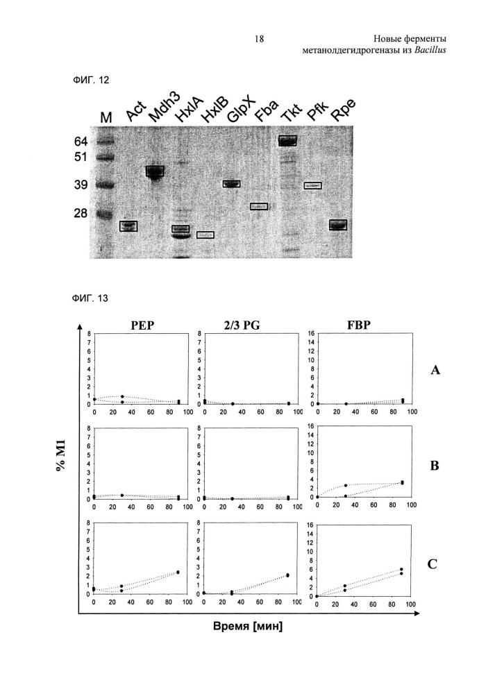 Новые ферменты метанолдегидрогеназы из bacillus (патент 2624017)