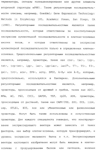 Гены corynebacterium glutamicum, кодирующие белки метаболических путей (патент 2306339)