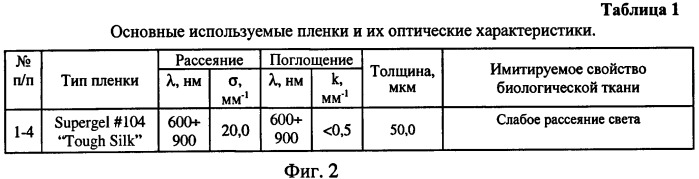 Способ определения размеров и глубины залегания анатомо-морфологических структур в живой биологической ткани при ее обследовании с помощью оптико-когерентной томографии (патент 2407426)