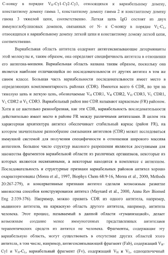 Антитело, содержащее fc-вариантную часть (варианты), фармацевтическая композиция, содержащая антитело, и способ лечения млекопитающего (патент 2390527)