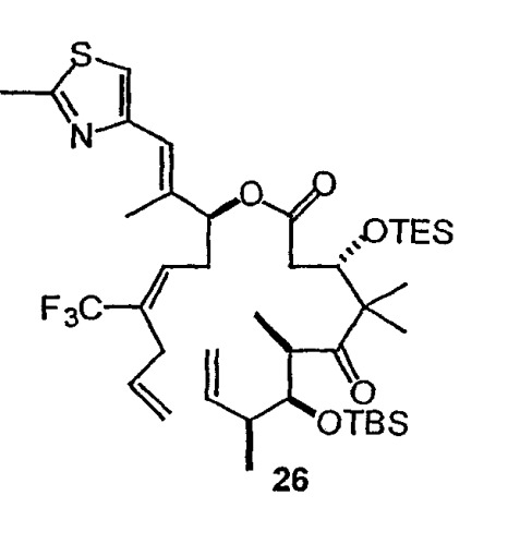 Синтез эпотилонов, их промежуточных продуктов, аналогов и их применения (патент 2462463)