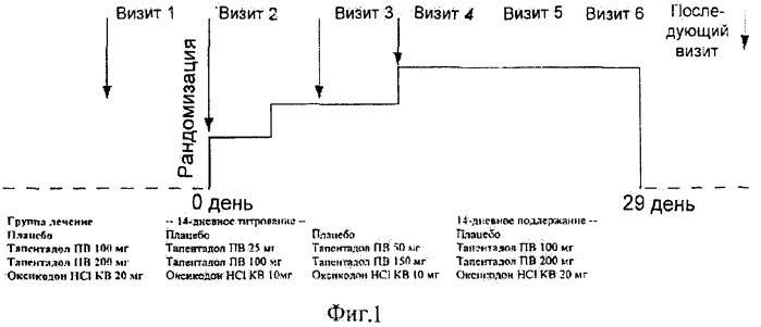 Тапентадол для лечения в связи с остеоартрозом (патент 2473337)