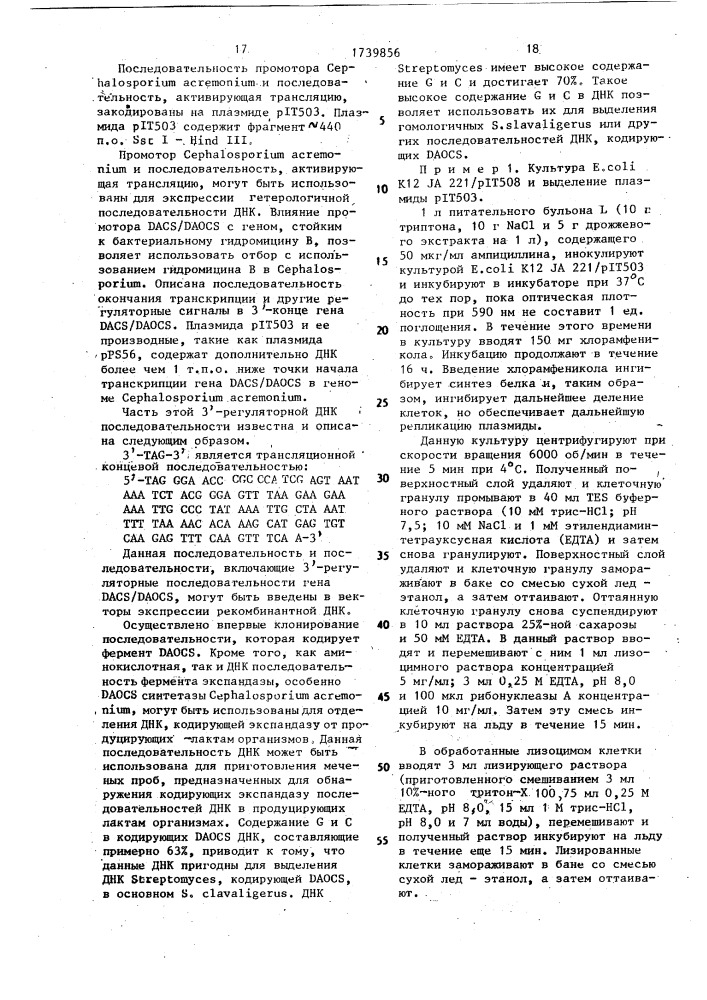 Способ конструирования рекомбинантной плазмидной днк, кодирующей фермент деацетоксицефалоспорин с синтетазу/деацетилцефалоспорин с синтетазу (патент 1739856)