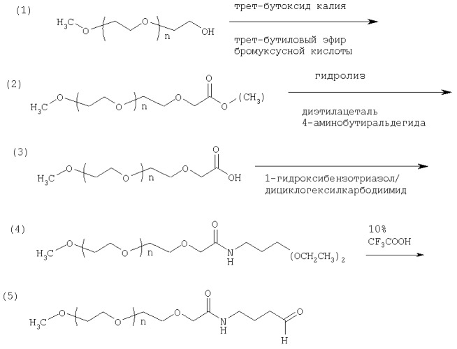 Производные альдегида полиэтиленгликоля (патент 2288212)