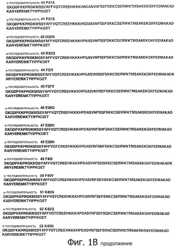 Конъюгаты с полимером а-бокса hmgb1 и вариантов а-бокса hmgb1 (патент 2458070)