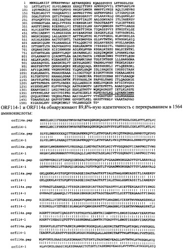 Антигены neisseria meningitidis (патент 2343159)