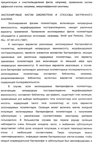 Селективная посттрансляционная модификация экспонируемых фагами полипептидов (патент 2459866)
