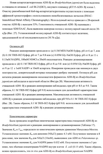 Бактерия семейства enterobacteriaceae - продуцент l-аспарагиновой кислоты или метаболитов, производных l-аспарагиновой кислоты, и способ получения l-аспарагиновой кислоты или метаблитов, производных l-аспарагиновой кислоты (патент 2472853)