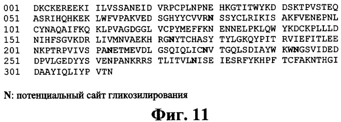 Антитела к рецептору интерлейкина-1 и их применение (патент 2369617)