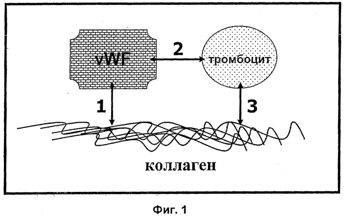 Терапевтические полипептиды, их гомологи, их фрагменты и их применение для модуляции агрегации, опосредованной тромбоцитами (патент 2524129)