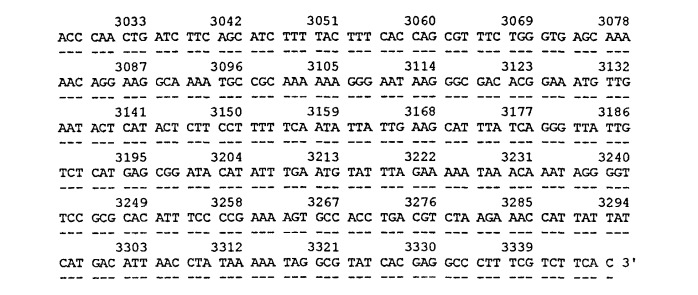 Рекомбинантная плазмидная днк pgd-14, содержащая гибридный ген, включающий нуклеотидную последовательность декстрансвязывающего домена бета-кокков, объединенную с геном гамма-интерферона человека через кислотолабильный спейсер, определяющая биосинтез химерной белковой конструкции дсд(сп)чгиф (патент 2470072)