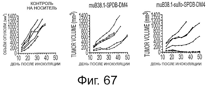 Сшивающие реагенты и их применение (патент 2503687)