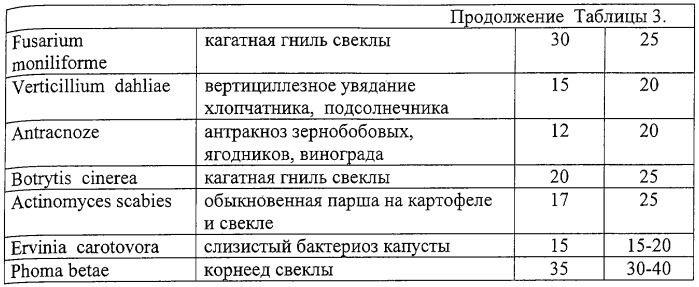 Препарат для защиты растений от возбудителей болезней сельскохозяйственных культур и винограда с ростстимулирующим эффектом, способ получения этого препарата и штаммы для его осуществления (патент 2313941)