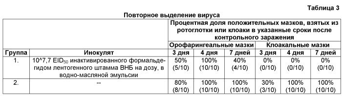 Инактивированная вакцина для птицы (патент 2545530)