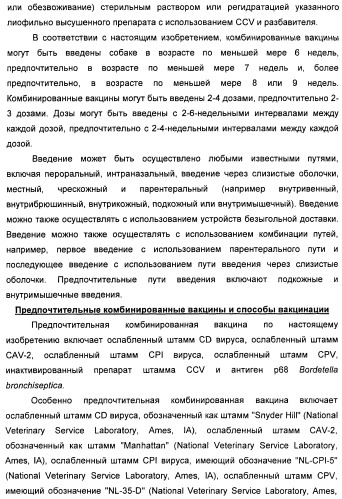 Поливалентные вакцины для собак против leptospira bratislava и других патогенов (патент 2400248)