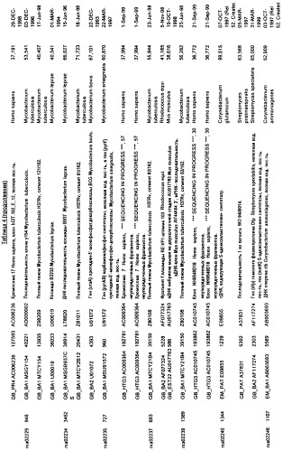 Гены corynebacterium glutamicum, кодирующие белки метаболических путей (патент 2306339)