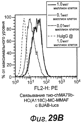 Анти-cd79b антитела и иммуноконъюгаты и способы их применения (патент 2511410)