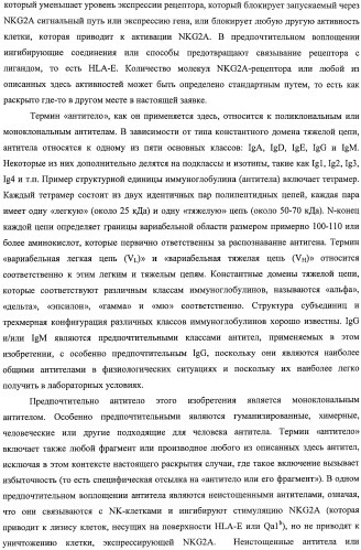 Моноклональные антитела против nkg2a (патент 2481356)