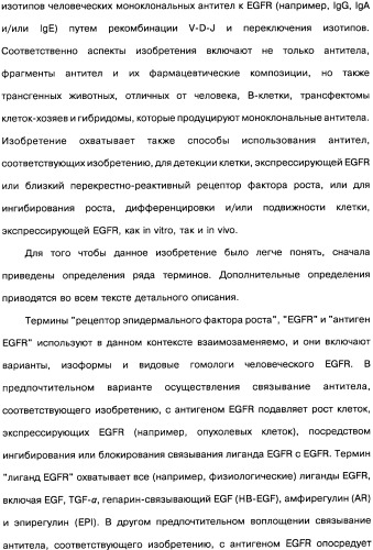 Человеческие моноклональные антитела к рецептору эпидермального фактора роста (egfr), способ их получения и их использование, гибридома, трансфектома, трансгенное животное, экспрессионный вектор (патент 2335507)