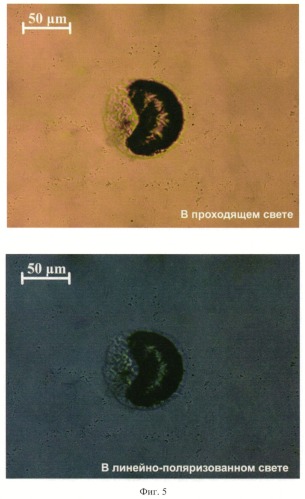 Способ формирования массива микрооптических элементов (патент 2540727)