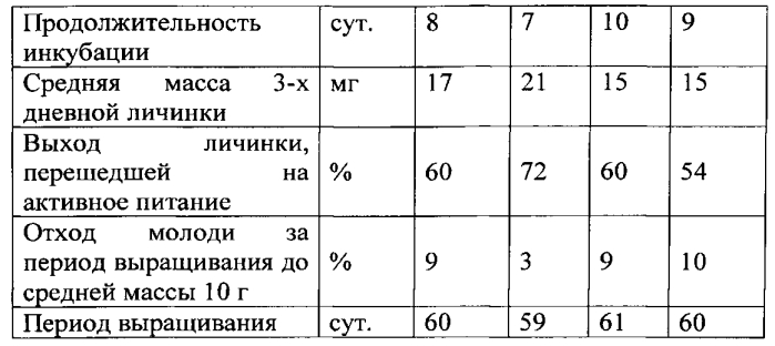 Способ получения личинок и мальков осетровых рыб (патент 2564840)