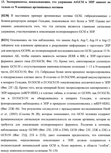 Набор последовательностей для таргетинга экспрессии и контроля посттрансляционных модификаций рекомбинантного полипептида (патент 2481399)