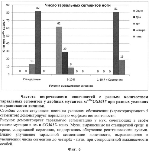 Способ оценки фармакологических и токсикологических свойств веществ - радио-, токсикопротекторов и радио-, токсикосенсибилизаторов (патент 2534822)