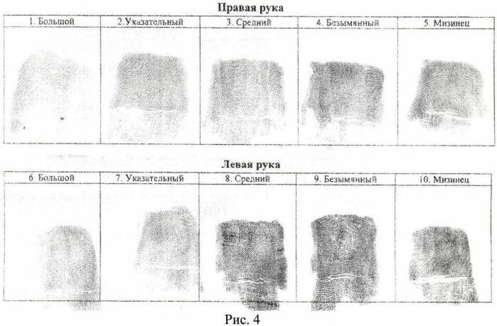 Способ формирования представления (шаблона) папиллярного узора (патент 2449362)